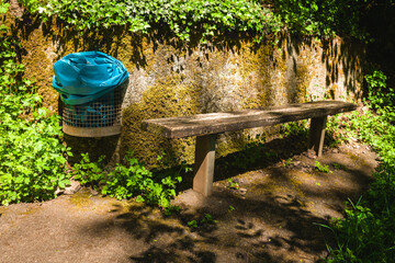 Peaceful moment at a secluded bench surrounded by nature in a serene park setting on a sunny day