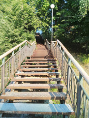 Metal staircase up between trees in park