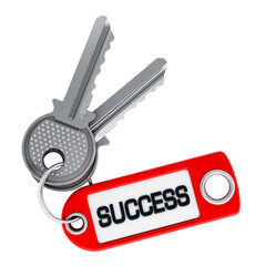 Success key on transparent background