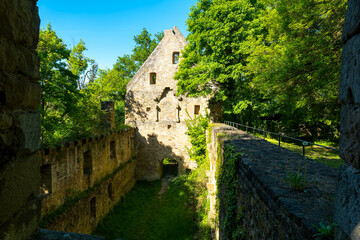 Fototapeta premium Exploring the enchanting ruins of an ancient fortress enveloped by lush greenery under a bright blue sky