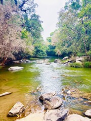 A serene river winds through a lush green forest, reflecting trees and sunlight on its clear water. The peaceful flow, surrounded by dense vegetation, creates a refreshing natural escape. nature photo