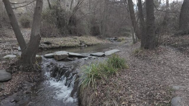 pueblo aideire y su rio en los bosques 