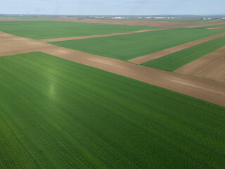 Aerial view of agricultural land