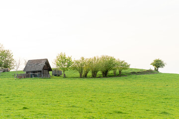 Obraz premium A lonely hut standing on a hill among a green meadow. Concept of a rural area in Germany