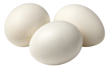 Fresh White Eggs Transparent PNG