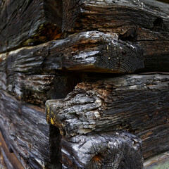 Obraz premium drewno