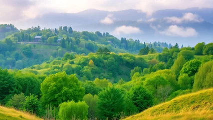 Gardinen Collage of beautiful landscape with mountains  forest and river in summer © zar