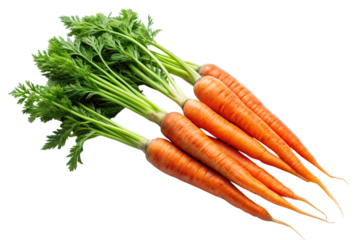 Fresh Carrots Transparent PNG
