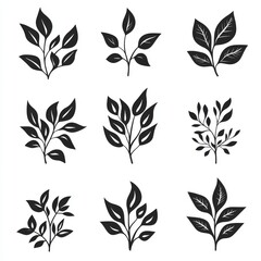 A grid features silhouettes of twelve varied leaf shapes arranged neatly