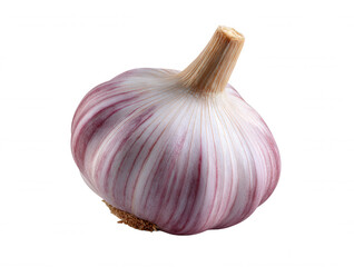 Fresh Garlic Bulb Isolated on White Background, Ideal for Culinary and Food Photography, Allium Sativum.