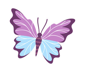 Beautiful butterfly summer insect cartoon