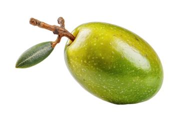 PNG Close-up of single green olive on stem with leaf isolated on black background