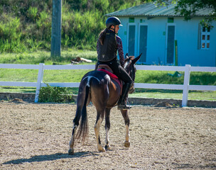Female Rider and Small Mule in Equestrian Eventing Competition