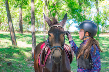 Female Rider and Small Mule in Equestrian Eventing Competition