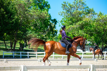 Young Woman Practicing Dressage on Chestnut Mare