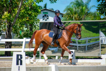 Young Woman Practicing Dressage on Chestnut Mare