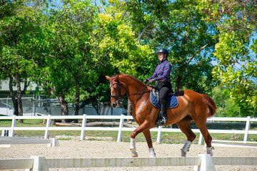 Young Woman Practicing Dressage on Chestnut Mare
