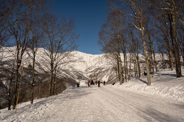 スキー場　ゲレンデ風景　長野県白馬村