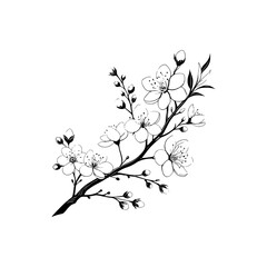 A black and white drawing of a branch with white flowers