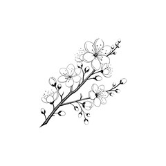 A black and white drawing of a branch with white flowers