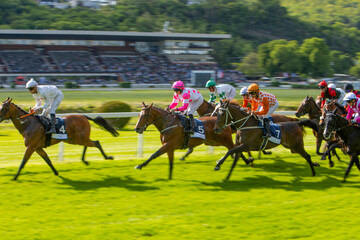 Race horses with jockeys on the home straight. Shaving effect.