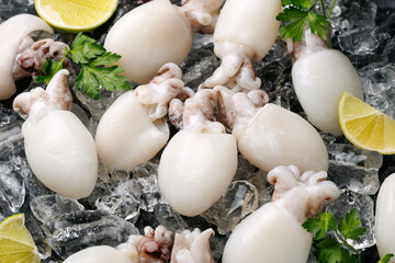 Fresh raw cuttlefish on ice with lime and parsley