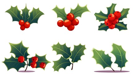 Elegant Holly Berry Silhouette with Christmas Leaves and Fruits for Festive Designs