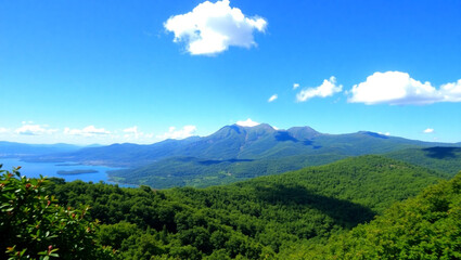Obraz premium Beautiful summer landscape with a river and a tree in the foreground
