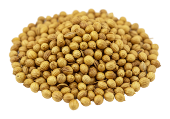 Coriander Seeds Transparent PNG, High-Resolution Culinary Spice, Organic Seasoning, Essential Food Ingredient