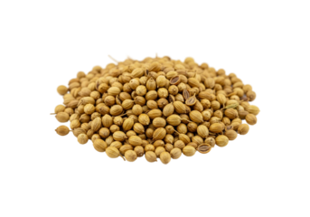 Coriander Seeds Heap, Culinary Seasoning, Edible Plant Texture, High-Contrast Transparent PNG for Graphic Design