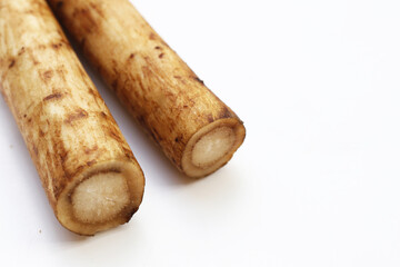 Fresh burdock roots or gobo roots