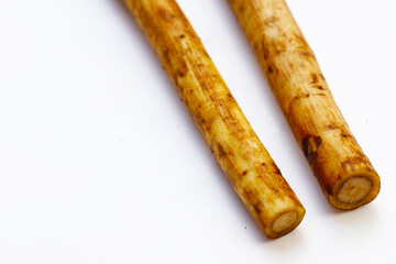 Fresh burdock roots or gobo roots
