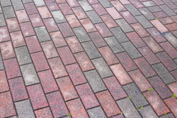 Pavement brickwork in Tokyo Japan