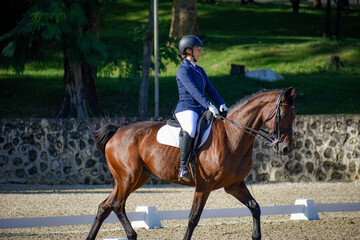 Female Rider and Bay Gelding in Dressage Performance