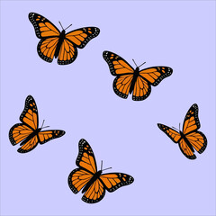 butterfly isolated on blue background.The butterfly spreads its wings and is ready to fly.Set of five butterflies flying.