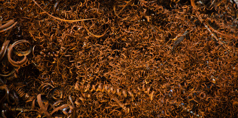 Rusty Metal Shavings: Macro detail of industrial waste. Sharpened texture of iron scrap. Ideal for abstract or grunge backgrounds.