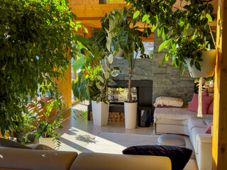 Sunlight pours into a modern wooden home filled with lush exotic houseplants. Cozy and inviting...