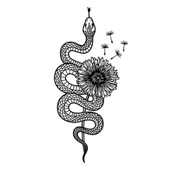snake and dandelion flower, tattoo design sketch