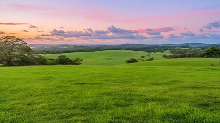 Naklejka premium Serene Sunset Over Rolling Green Hills Landscape