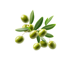 Fresh Green Olives on the Branch with Leaves