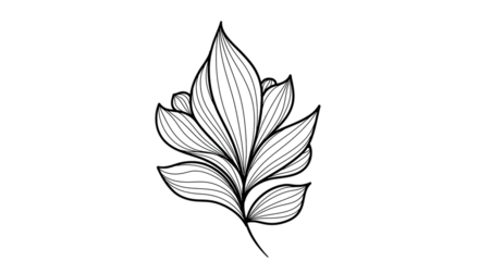 Leaves, Botanical Illustration, Black and White, Plant, Nature, Drawing