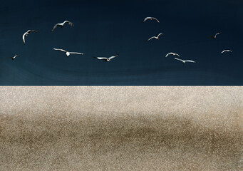Seagulls over shore