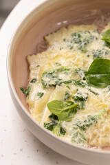 Spinach Ravioli with Creamy Parmesan Sauce.
Fresh ravioli pasta filled with spinach, topped with creamy cheese sauce and garnished with spinach leaves in a modern bowl.