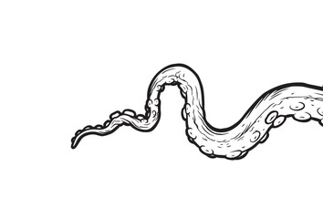Tentacles of octopus, vector hand drawn collection of illustrations. Black and white engraving style drawings. Tentacle straight and with rings in different angles.