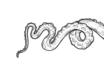 Tentacles of octopus, vector hand drawn collection of illustrations. Black and white engraving style drawings. Tentacle straight and with rings in different angles. © Very Well Studio