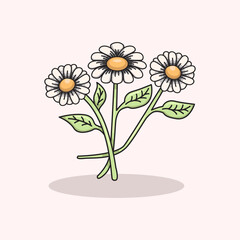 Vector illustration of daisy flower with white petals and yellow center representing freshness purity and springtime Perfect for floral designs botanical themes nature decorations greeting cards and s