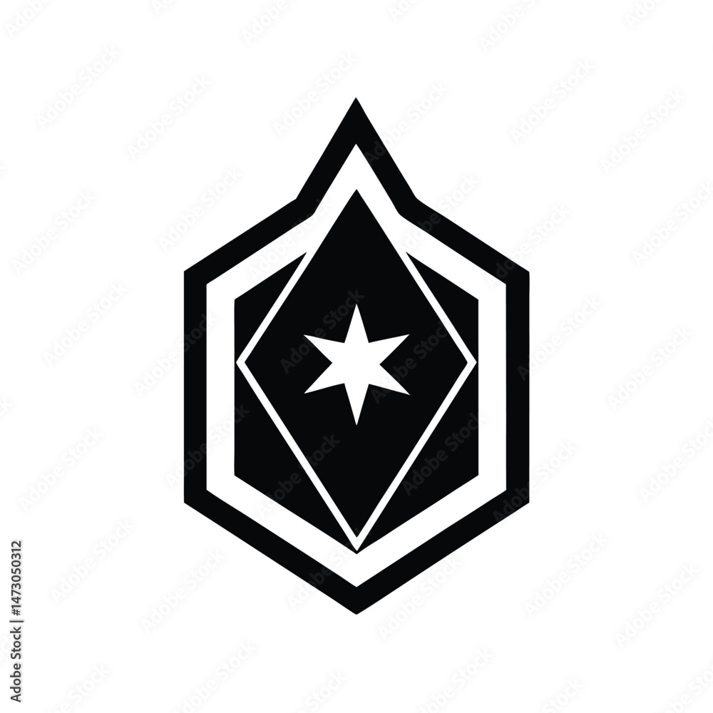 Poster abstract geometric emblem with star shape symbol within a modern vector design for various applicati