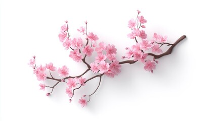Fototapeta premium Delicate Pink Blossoms on a Branch Spring Floral Design Natures Beauty Botanical Illustrati