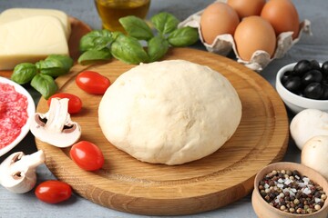 Making pizza. Different ingredients on gray wooden table, closeup