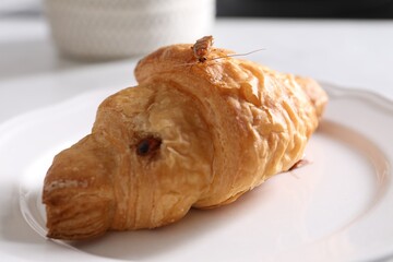 Cockroaches crawling on croissant on table, closeup